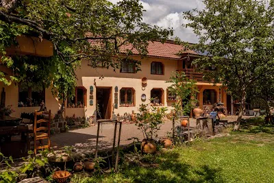 Curtea Casei Olarului din Baia Sprie, cu vase de lut și viță-de-vie